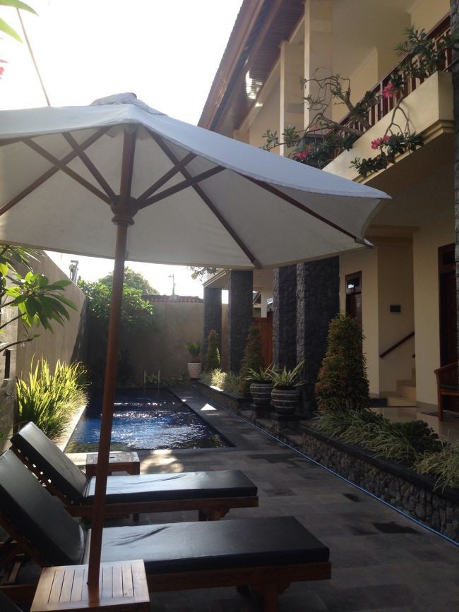 サイクリングで汗だくなので、プールで泳ぎまくり。<br />気持ちいい〜💕<br />そして、夕方からはまた英語です！