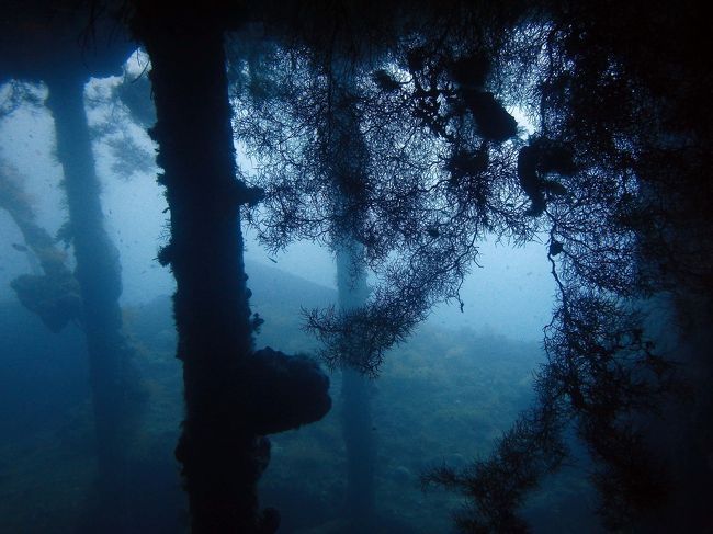 一本目：USAT リバティレック<br />最大深度：30.9m<br />エントリー：10:25<br />エキジット：11:26<br />ダイブタイム：61min<br />水温：28℃<br />透明度：15m<br /><br />