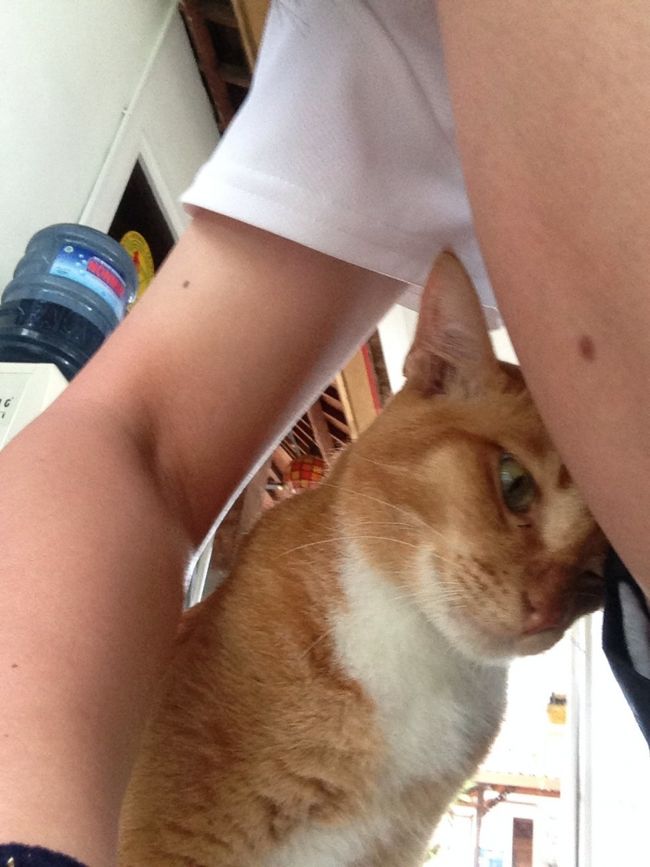 私の腕、日に焼けてる💦