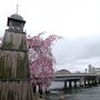 山陰の“小京都” 松江 ◇ 小泉八雲（ラフカディオ・ハーン）が愛した街を歩く【後篇】 ◇ 八雲ゆかりの城山稲荷・記念館・旧居・お寺を訪ねて