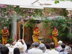 その後は服部屋敷跡にて郷土芸能の「樫立踊り」と「八丈太鼓」を鑑賞

基本毎日10時からのようですが、お客さんがいないと開催されないこともあるようです
ツイッターに情報が載っているので行く前にチェックしましょう