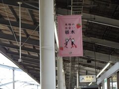 新幹線で栃木に入ります
8時ちょっと前に宇都宮駅に到着