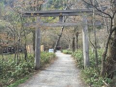 登山者の守護・穂高神社に到着。
河童橋から約1時間。

明神池はこの奥に。