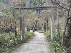 登山者の守護・穂高神社に到着。
河童橋から約1時間。

明神池はこの奥に。