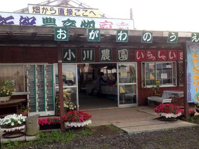 北海道千歳で過ごす夏休み ランチ編 千歳 新千歳空港 北海道 の旅行記 ブログ By 紅映さん フォートラベル 北海道千歳で過ごす夏休み ランチ編 千歳 新千歳空港 北海道 の旅行記 ブログ By 紅映さん フォートラベル