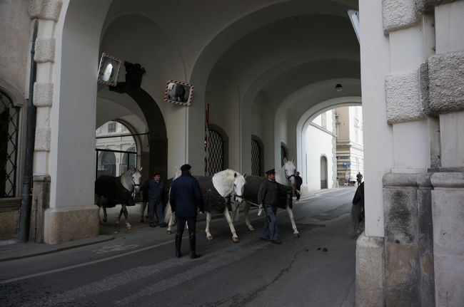 王宮前を通り過ぎて馬に遭遇。