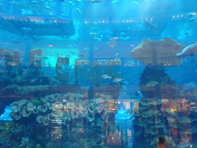 ﾄﾞﾊﾞｲﾓｰﾙの巨大水族館。<br />
