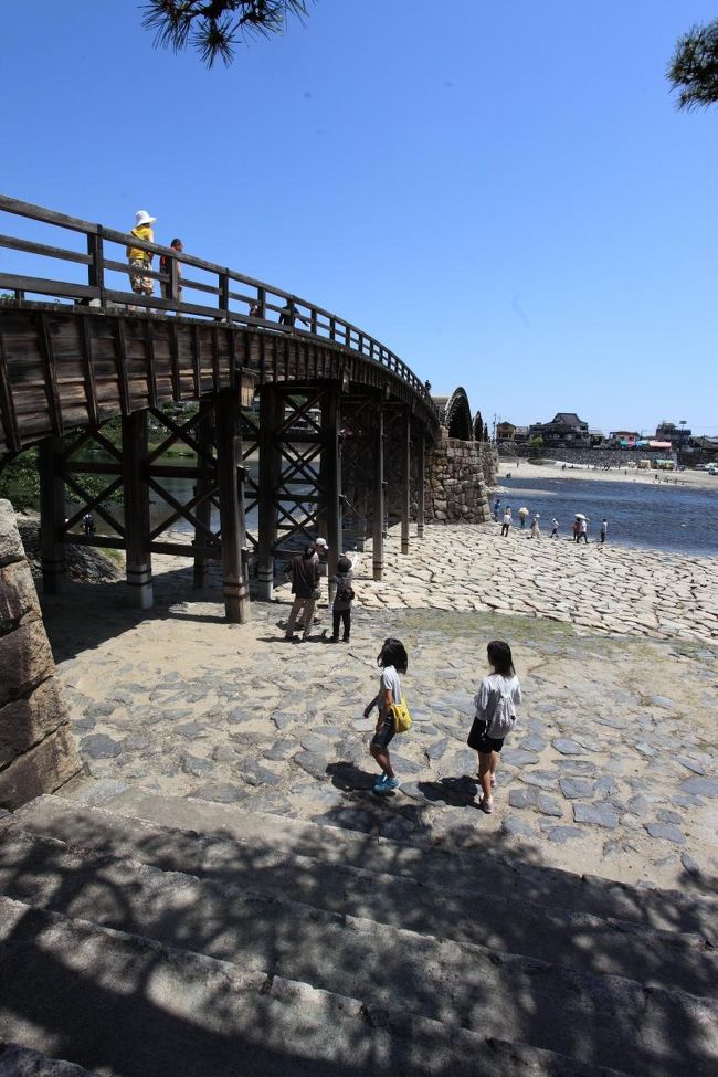 川遊び<br /><br />下から見るのかと聞いたら<br />水が触りたいらしい