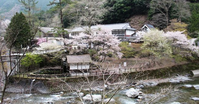 小学校を改装した東吉野ふるさと村食堂いちえでぼたん鍋定食を頂く 川上 東吉野 奈良県 の旅行記 ブログ By 吉備津彦さん フォートラベル 小学校を改装した東吉野ふるさと村食堂いちえでぼたん鍋定食を頂く 川上 東吉野 奈良県 の旅行記 ブログ By 吉備津彦さん フォートラベル