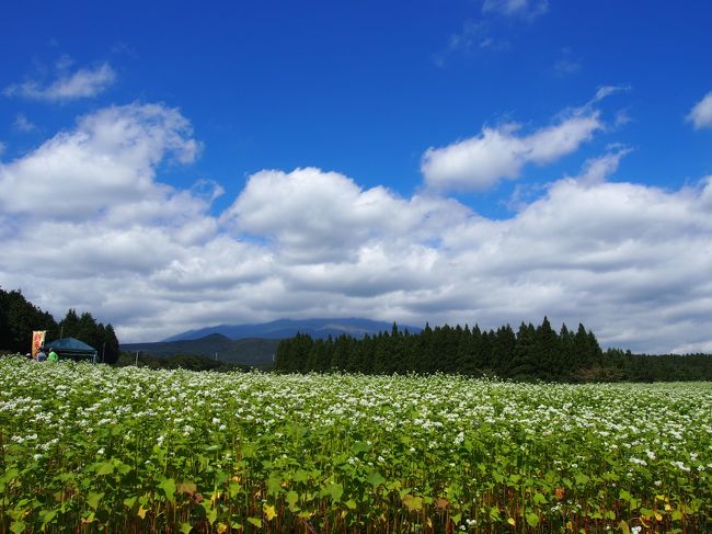 富士山には雲がかかっていていました。<br />残念。