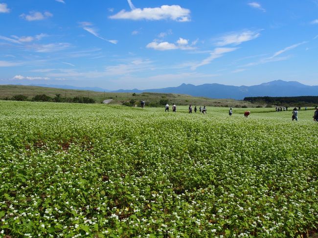 こちらは、箱根方面。
