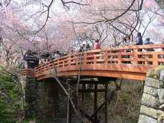 【桜雲橋】
二の丸から本丸へと続く橋

高遠城址公園を代表する桜スポットの一つです。
