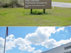 エバーグレーズ国立公園を後にし、ビッグサイプレス国立保護区のスワンプ・ウェルカムセンター（Big Cypress Swamp Welcome Center）に12時に到着です。

公園名： ビッグサイプレス国立保護区 （Big Cypress National Preserve）
制定年： 1974年
所在地： フロリダ州
他の指定： なし
特徴： アメリカで最初の国立保護区
見どころ： ヌマスギの森