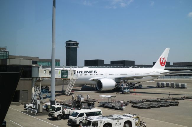 ＪＡＬパックですので成田発１１：２５フランクフルト行き、ＪＬ４０７便、Ｂ７７７ＳＳ７　エコノミーは半数くらいしか埋まっていません。　