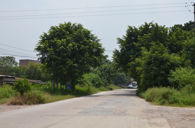 周囲は食堂1軒のみ。<br />