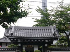 まず最初は、法恩寺さんです。
日蓮宗寺院です。

江戸十大祖師の一つです。
旧本山は、京都にあります本圀寺です。
六条門流です。
場所は、墨田区大平になります。
太田道灌が、江戸城を作る時に建立開基なので、
1458年ですから約560年の歴史です。

門の後ろ側は、スカイツリーです。
眺めがいいですねえ。
