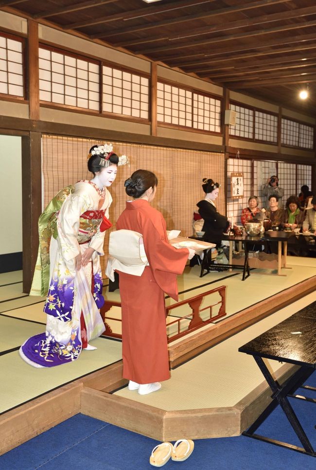 4月春爛漫、桜が咲く季節に、母と2人で京都 祇園 甲部歌舞練場で芸妓 