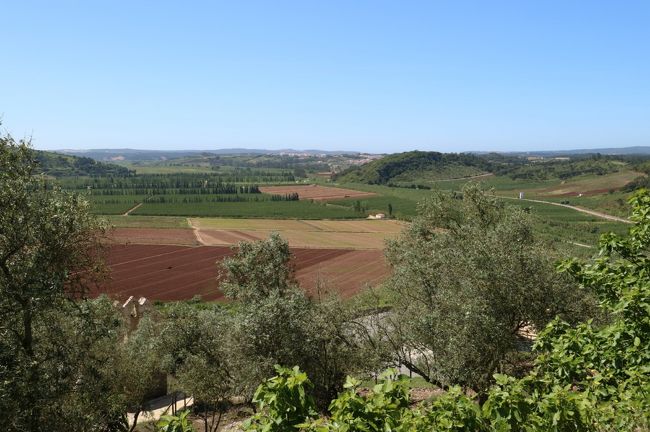 城壁の外はこんな感じです。