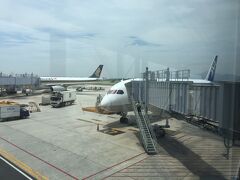 晴天のノイバイ国際空港に到着です。