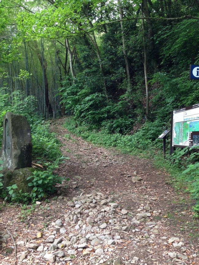 入口から見た道は緩やかですが・・・