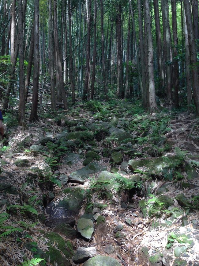 こんな岩の急斜面が続きます。