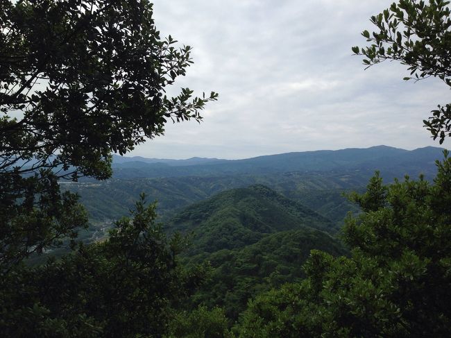 景色がよくなってきた・・・