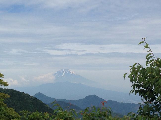 城山山頂からの景色。晴天ではないけど、富士山が綺麗です。