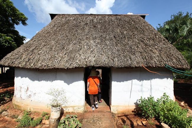 ●マヤの末裔の住む住宅<br />家の中に下げてあるハンモックは、とても便利な道具だそうです。ハンモックに寝転ぶ体験もありました。また、道具や食料を見ながら説明を聞くことにより、日常生活を垣間見ることができました。