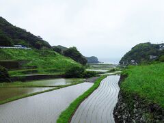 春日の棚田

海岸から山間に続く棚田は国の重要文化的景観になっているそうですが、この風景目当てに訪れる人が多いのでしょうか。3月、4月（田植え時期）と9月、10月（稲刈り時期）は見学者の立ち入り禁止との札が立っていました。
確かに作業の邪魔ですものね〜