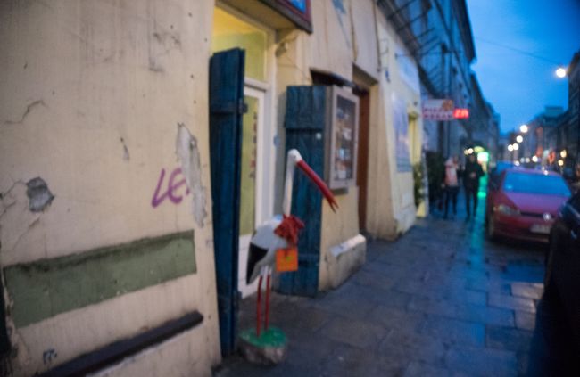 突然コウノトリ。