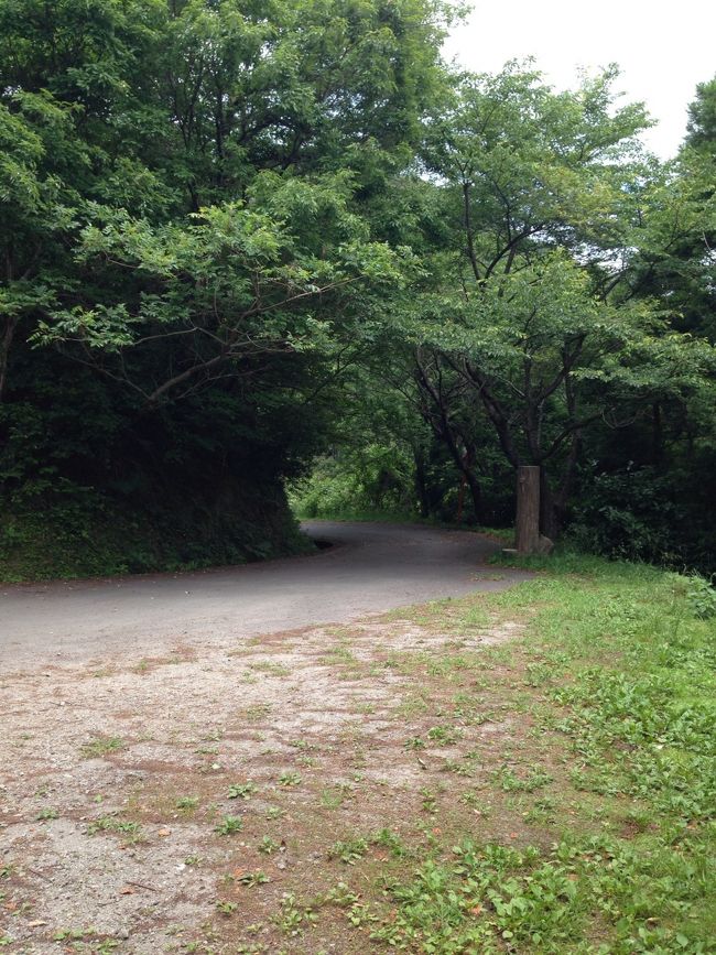 20分程歩くと、舗装された道路に出ます。