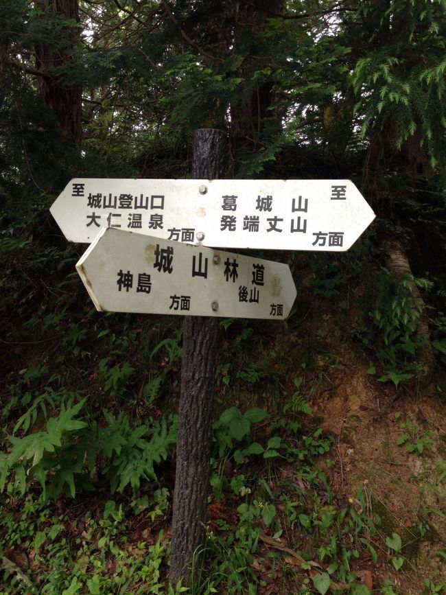 舗装された道をさらに、葛城山方面へ歩いて行きます。