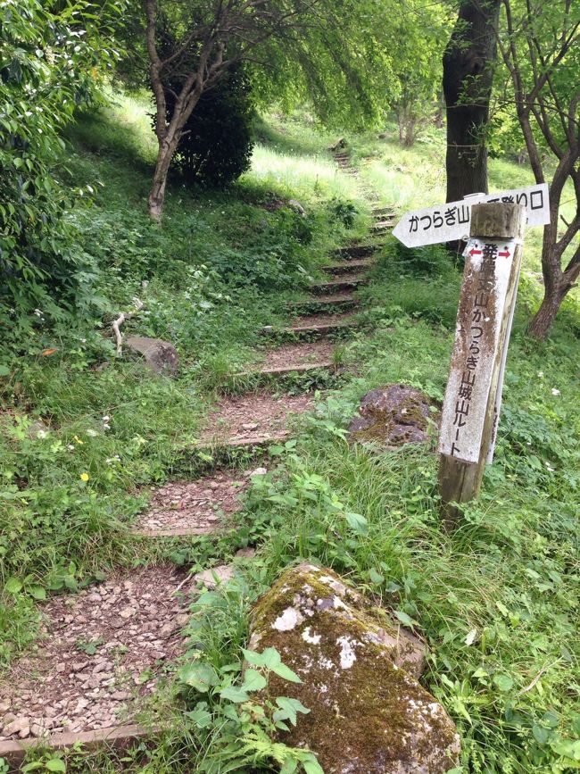 だんだん登れなくなってきた・・・