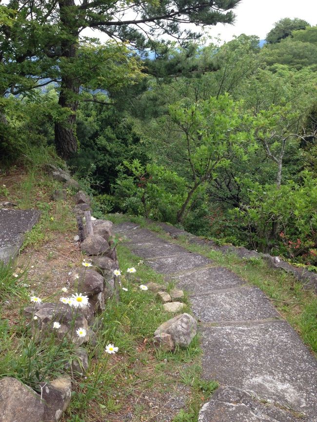 もう少しあと少し🎶