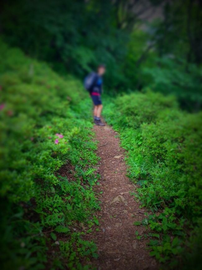 さてと、下山しまーす！