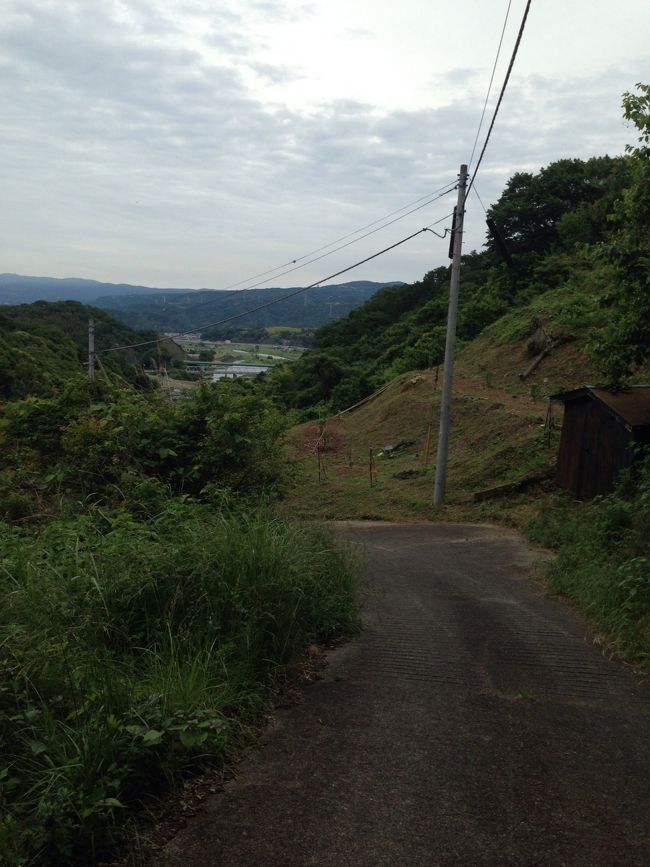 下りたけど、車は城山登山道入口においてあるので、ここから2kmほど歩きます。