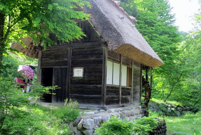 2015春、飛騨高山と白川郷(11/16)：白川郷、合掌造りの家、水車