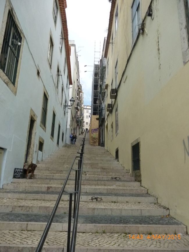 晴れてきました。沈んだ気分も晴れるのか？