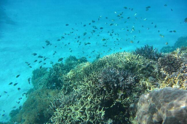 クラの輪（クラ交易）の島とトロブリアンド諸島： ニューギニア