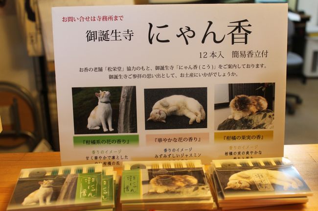 串に刺さった鯖が食べたくて Z4最後のドライブは極旨の鯖焼き 猫だらけ の癒し 御誕生寺 小浜 若狭 福井県 の旅行記 ブログ By たらよろさん フォートラベル
