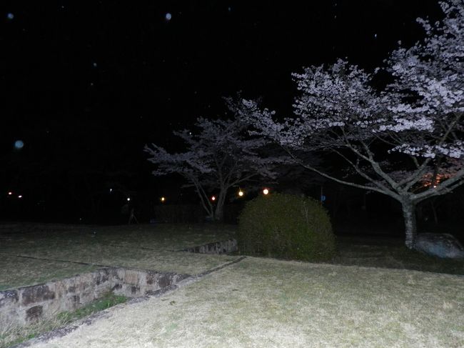 事前に調べた情報によると、「芳徳禅寺」という柳生家の菩提寺でさくら祭りがあるとのこと。とりあえず「芳徳禅寺」をカーナビの目的地にしておきました。<br />目的地に着いて付近を見回してもどこでやっているのかわからず、やっと見つけたのがこちらの「旧柳生藩陣屋跡」でした。