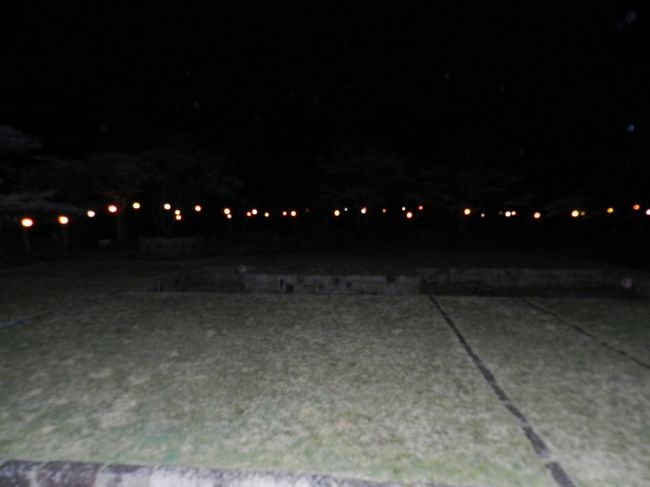 建物があった場所などが保存されているようですが、暗いのでよくわかりません。