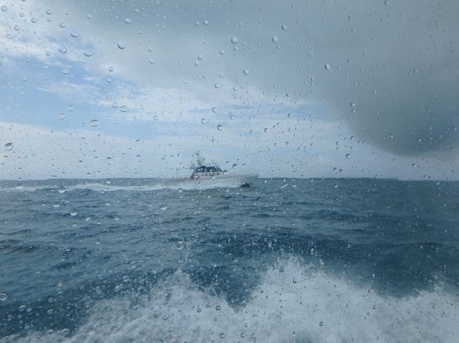 他の大きめな船が通ると、船がざっぷんと揺れ<br />それが楽しみになってきたりして「くるぞ〜！！」とかはしゃぐｗ<br /><br />思ったよりも長く感じた移動時間でした　だんだん無口に(^_^;)<br />５０分か１時間かな<br /><br />黒島が見えてきて、しばらくすると・・・<br />　