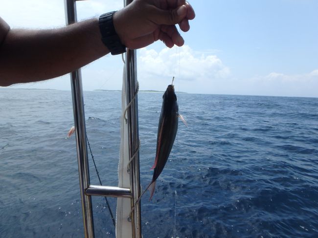 目が回るのを耐えることしかできない息子くん・・・<br /><br />船長さんが気にしてくれ「釣れれば船酔いなんてなくなるよ！」と、竿と餌と付きっきりで面倒みてくれました。それにこたえようとするも、あ〜やっぱり駄目だ・・・となる息子くん（涙）<br />