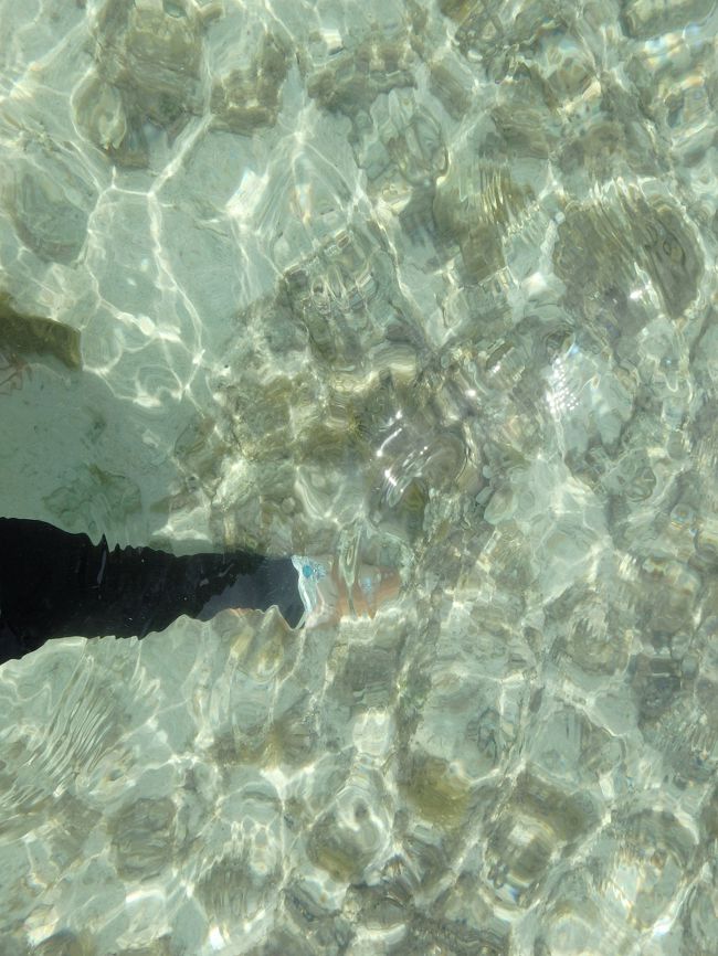 といっても腰ぐらい<br />残念ながらこの時点で珊瑚もお魚も確認できず<br />でもほんとに綺麗だな・・・<br />喜びを噛みしめていると<br />