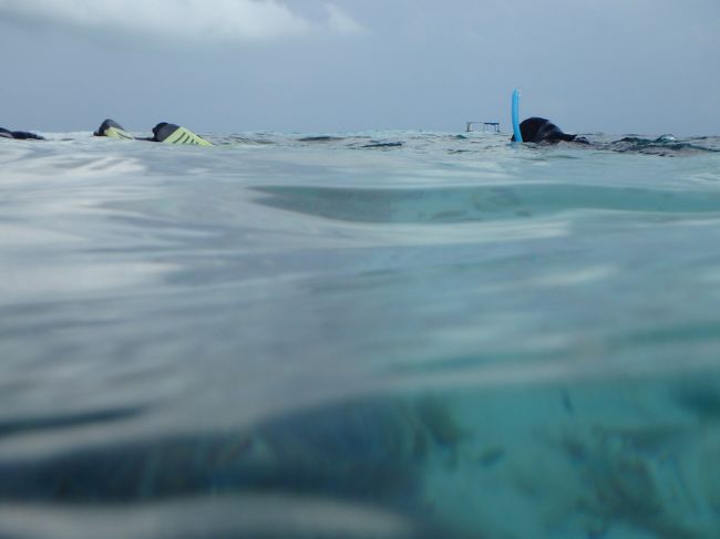 初めてウェットスーツを着るので手間取りました(^_^;)<br />しかもわたしはフローティングベストを借りるのを忘れて海に入ってしまい<br />パニックに(・_・;)　だめなんです・・・浮き輪じゃ・・船長さんが親切に対応してくださいました　　本当に迷惑ばかりかけています　ごめんなさい（涙）