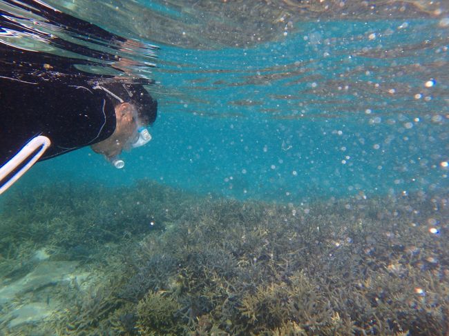 わたしがパ二クってる間、パパと息子くんはスイスイ満喫していました