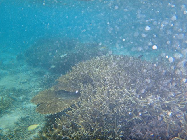 今回の為に買った「オリンパスＴＧ−８５０」<br />使いこなせず(^_^;)<br /><br /><br />