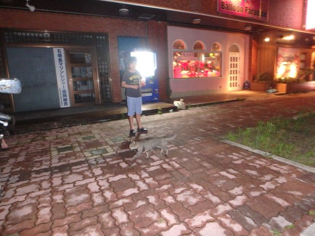 猫がたむろっていたのでテンション上がる(^^)<br />撮影会。<br />近寄ってはくれませんが。