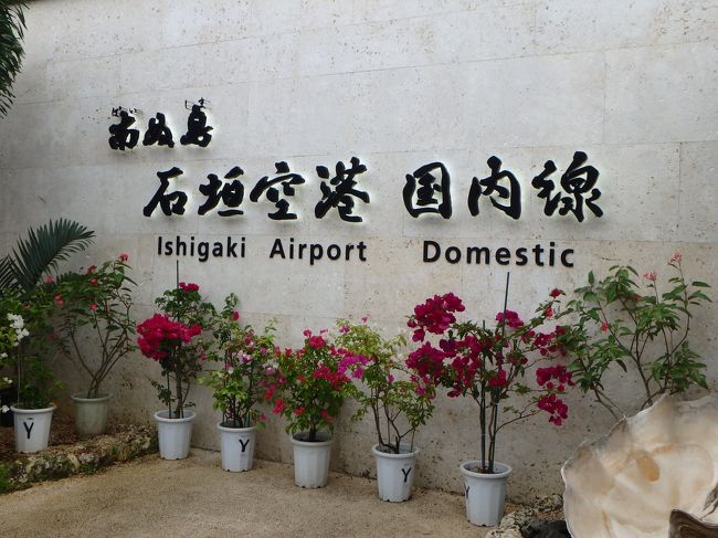 行きは前しか向いてないｗ<br />帰りに気が付いてとりあえずパシャ